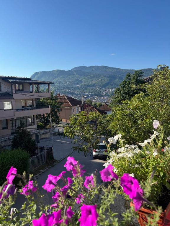 a view of a street with pink flowers at Apartment SAFIR Sarajevo- Free parking in Sarajevo