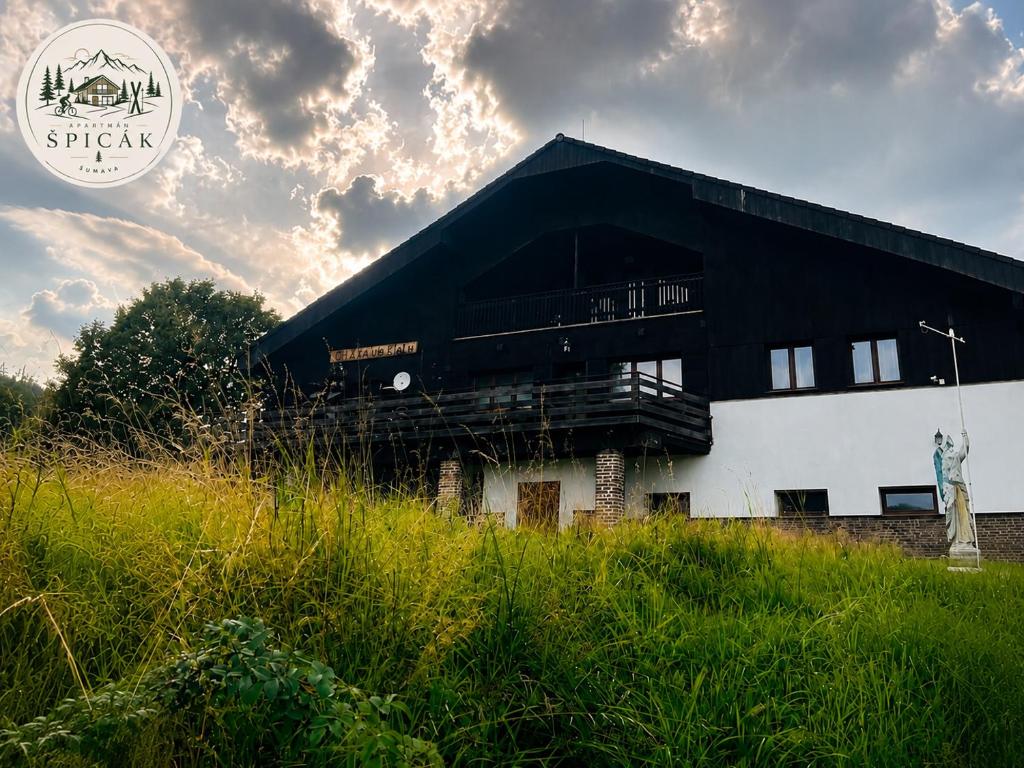 a building with a black roof on top of a field at Apartmán Špičák in Špičák