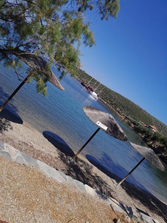 ein Strand mit einem Sonnenschirm und einem Boot im Wasser in der Unterkunft Argo - Mythos in Tríkeri