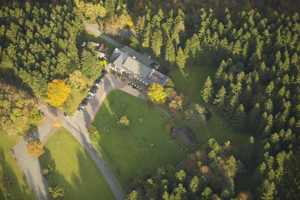 eine Aussicht auf ein Haus in einem Park mit Bäumen in der Unterkunft Hotel Kleins Wiese in Schmallenberg