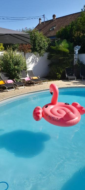 a pink flamingo float in a swimming pool at du Côté d'Agnès ! in Ostwald