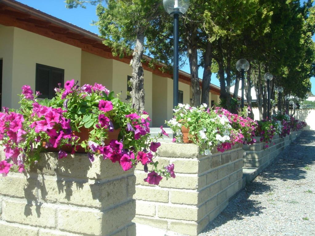 Zahrada ubytování Hotel Samarcanda