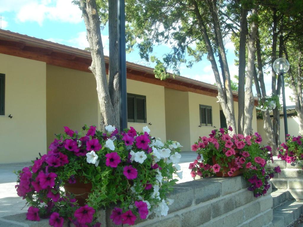 two flower boxes on a wall with purple and white flowers at Hotel Samarcanda in Civitavecchia
