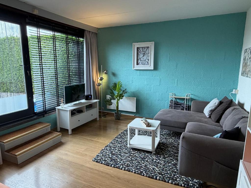 a living room with a couch and a tv at Le Papillon in Hotton