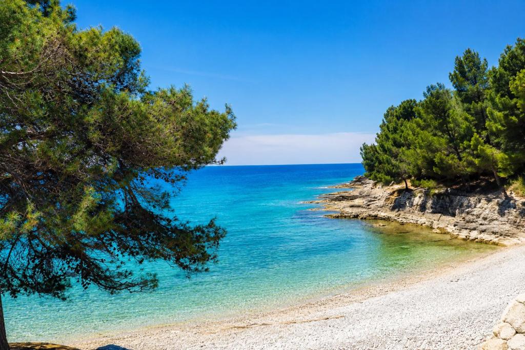 Apartman Pula Lungo Mare