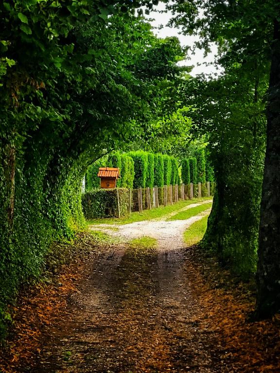 a dirt road lined with trees and a fence at Kuća za odmor Čanić gaj in Gospić
