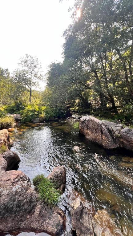 a stream of water with rocks and trees at HYP - Aranza Descanso Natural in Sotomayor