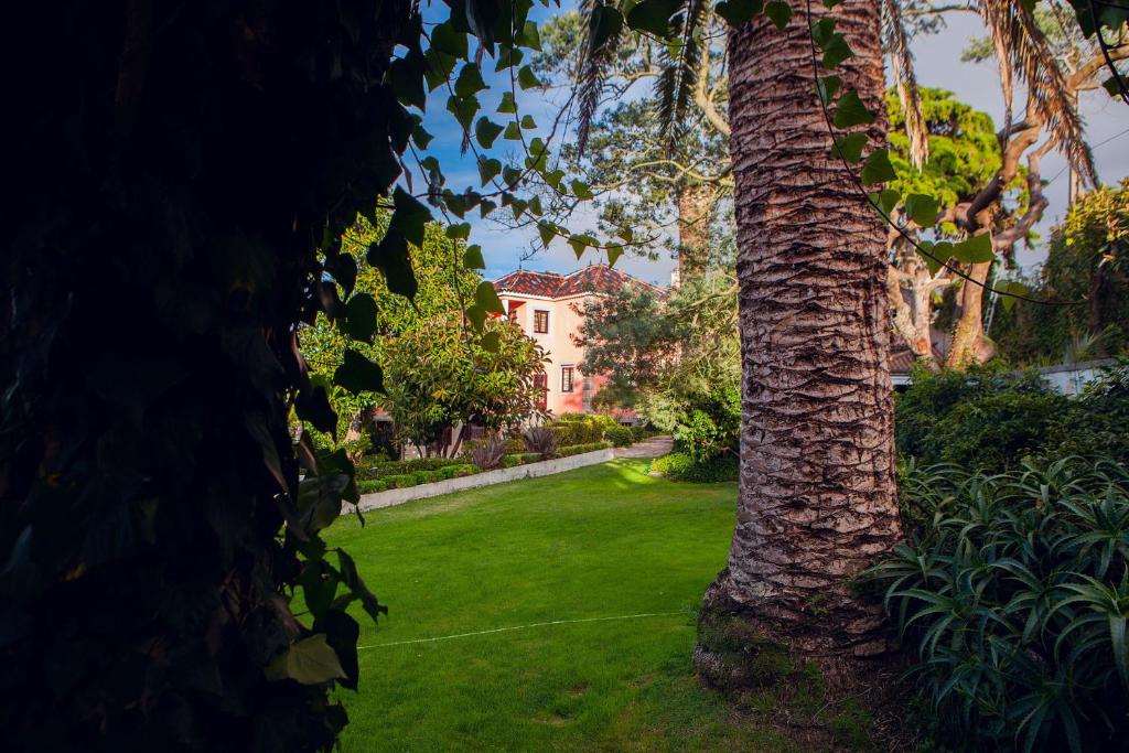 a tree in a yard with a house in the background at Quinta Santo António in Sintra