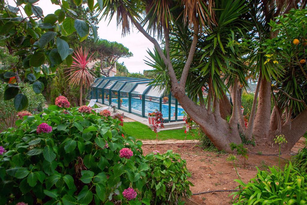 a pool in a garden with trees and flowers at Quinta Santo António in Sintra