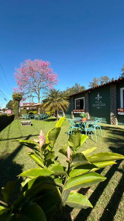 a house with a plant in front of it at Vila Francesa Hotel in Penedo