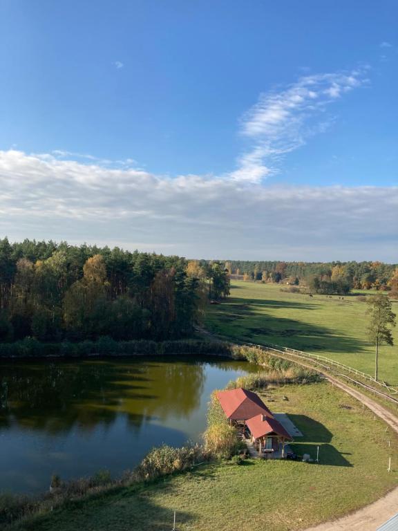 an aerial view of a house next to a lake at Ostrowo Młyn in Wągrowiec