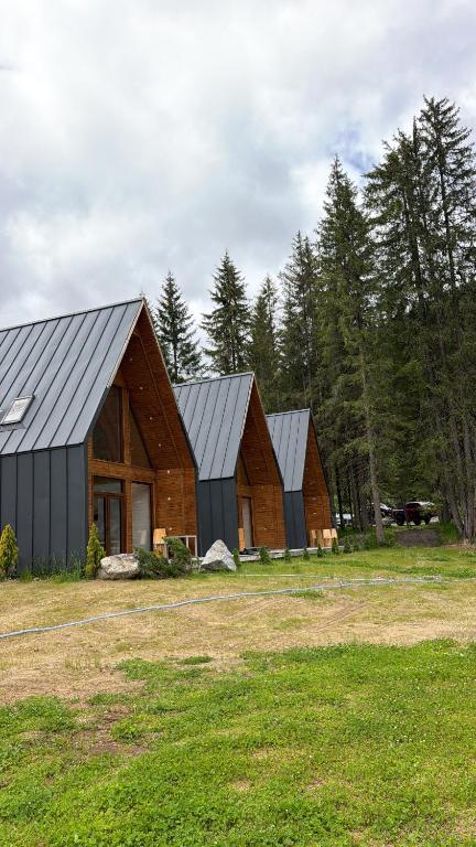 a group of three barns in a field at Chalets by Hotel Transalpin in Obarsia-Lotrului