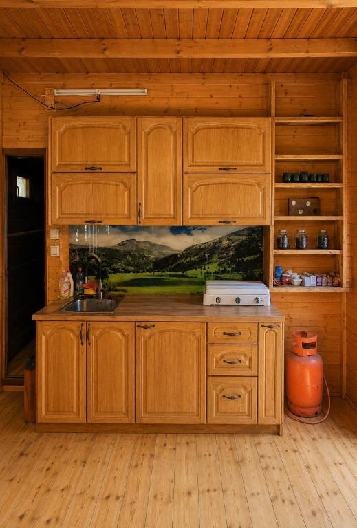 a kitchen with wooden cabinets and a sink at Scardus Lodge in Tetovo