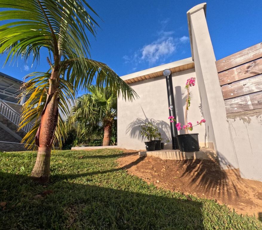a palm tree in front of a building at Chez Marie Line in Saint-Joseph
