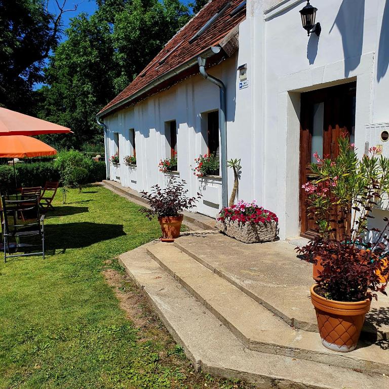a white building with potted plants in front of it at Dworek Marmis - idealny dla rodzin in Mirsk