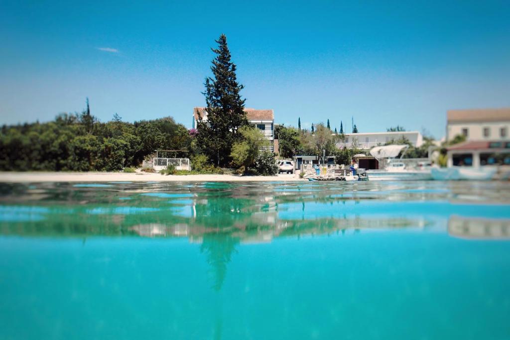a tree on a small island in the water at Agava in Lovište