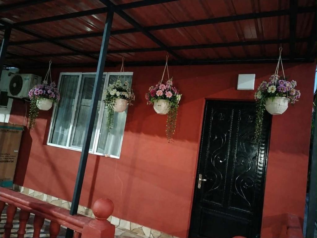 a red house with two potted plants and a door at Tamari in Ureki