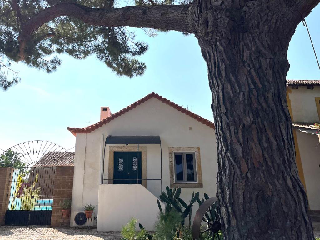 a white house with a tree in front of it at Casa do Caseiro by Quinta da Burra in Cartaxo
