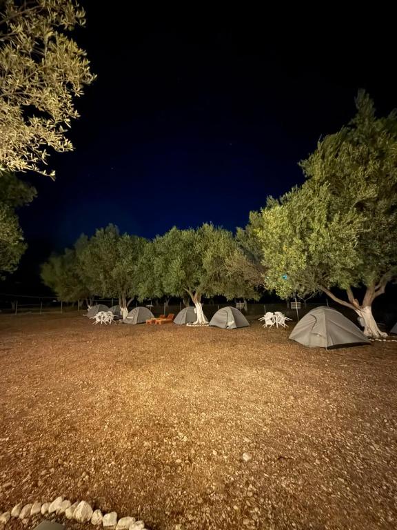 a group of tents in a field at night at SeaGrove Camping in Himare
