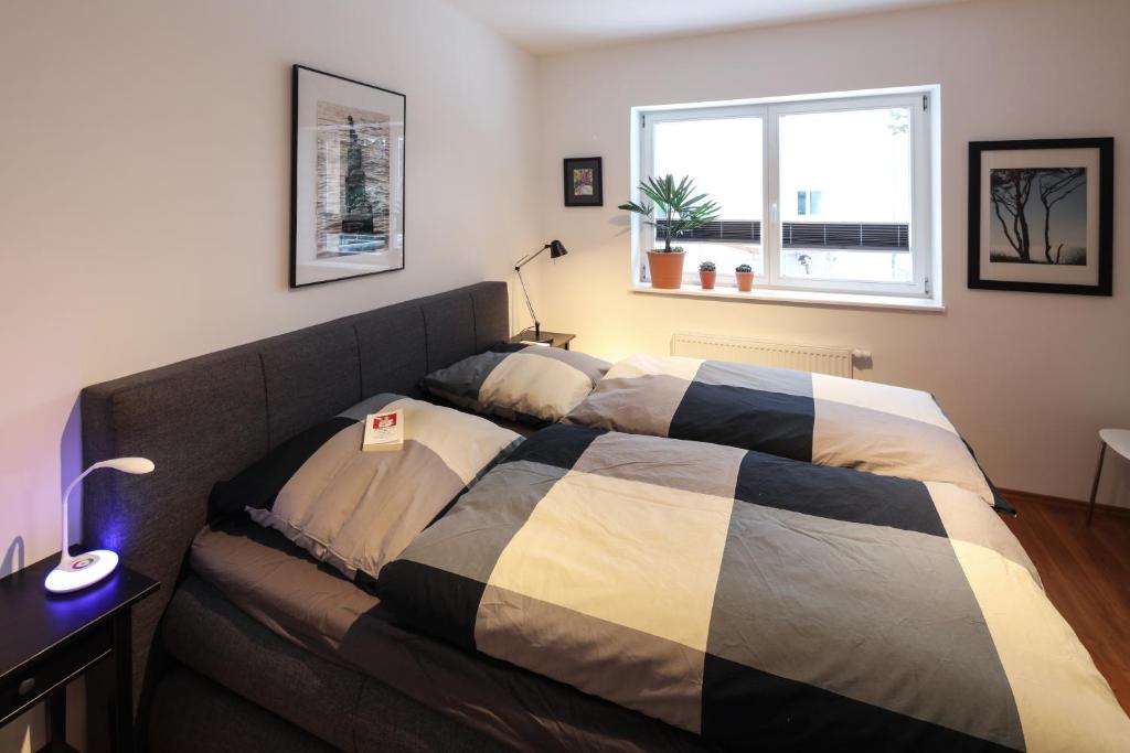 ein Sofa im Wohnzimmer mit einem Bett in der Unterkunft Ferienwohnungen Apartements Buddestrasse Daberstedt in Erfurt