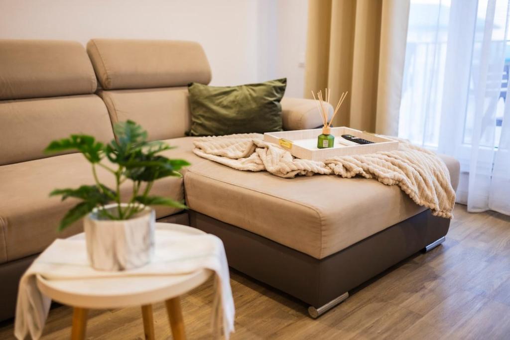 a room with a bed and a couch and a table at Seyra Olive Studio in Ştefăneştii de Sus