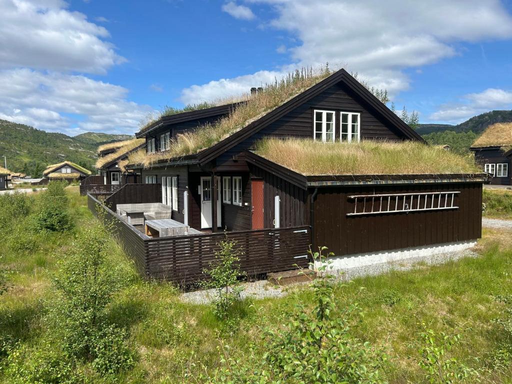 a house with a grass roof with a field at Sirdal in Dirdal