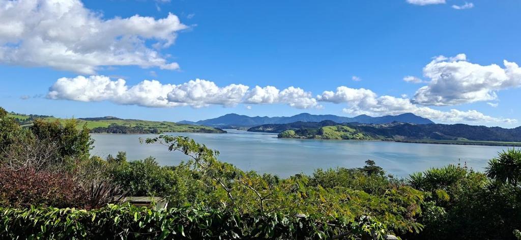 a view of a river with mountains in the background at Pureanei in Rawene