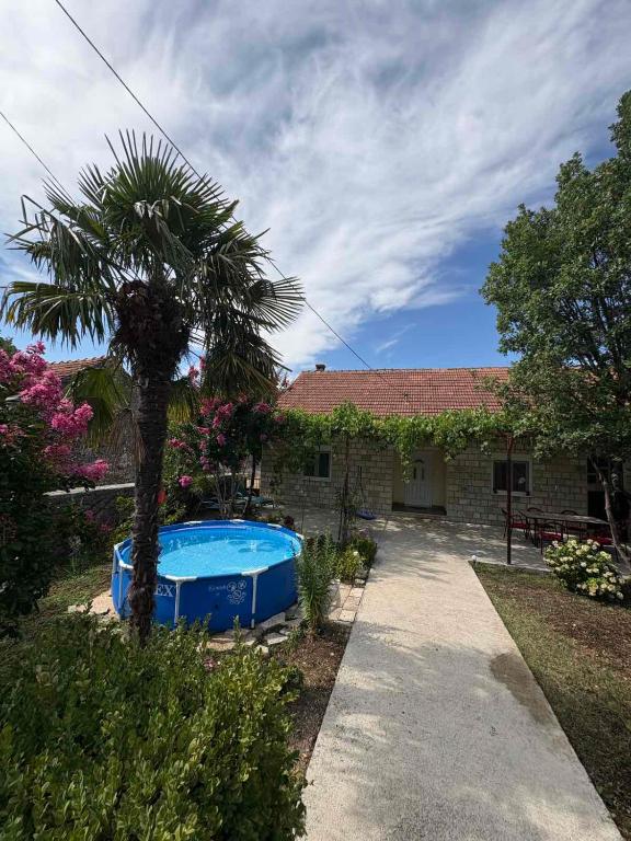 a house with a palm tree and a swimming pool at Kuća za odmor in Trebinje