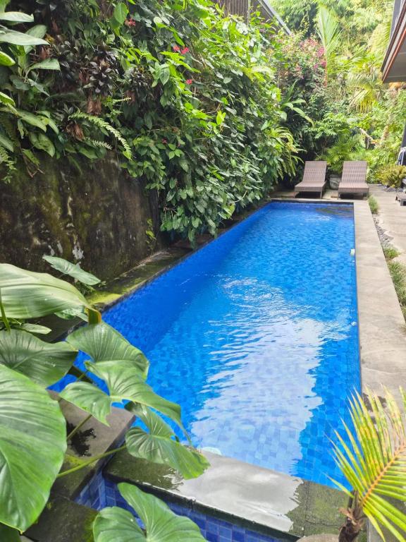 a swimming pool in a garden with plants at Adenia House Ubud in Ubud