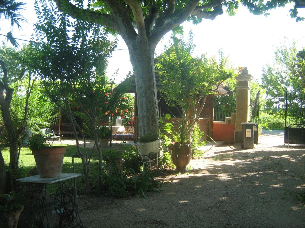 un jardín con un árbol y algunas macetas en Auberge la Tuilerie, en Violès