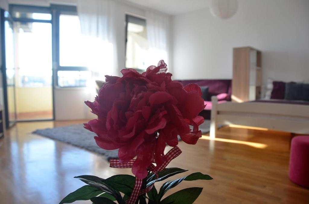 un jarrón con una flor roja en la sala de estar en L&B Studio Apartment, en Pristina