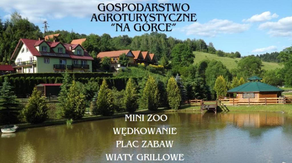 a poster of a house next to a lake at Gospodarstwo Agroturystyczne na Górce in Myczkowce