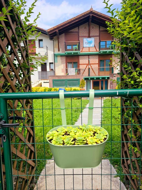 a pot of bananas sitting on a balcony at Pension Paloma - Oiartzun HSS00876 in Oiartzun