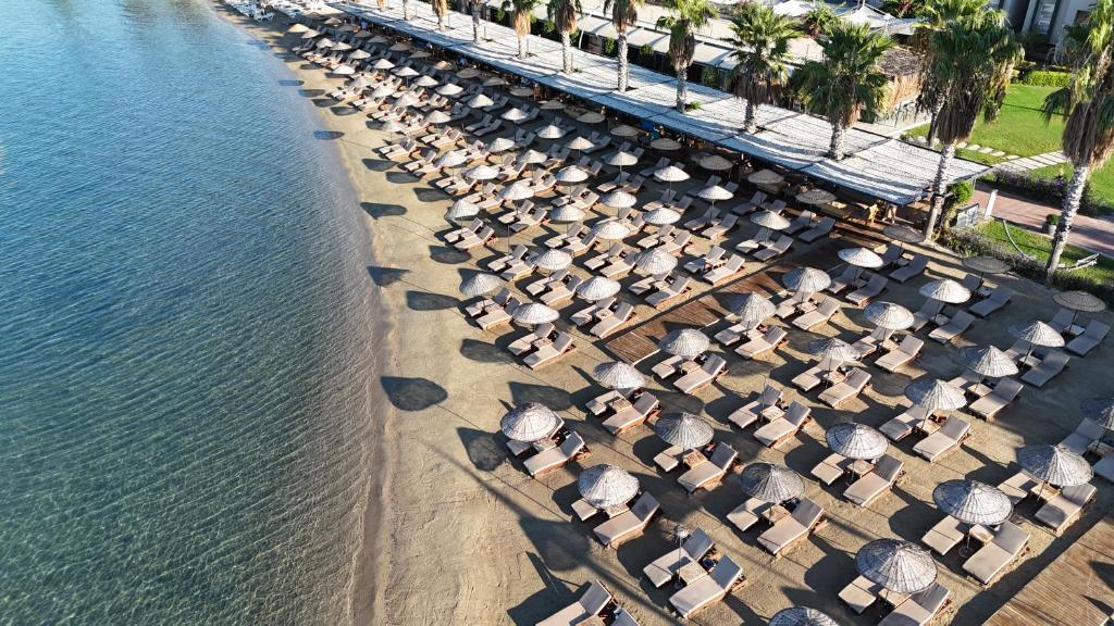 an overhead view of a beach with chairs and umbrellas at Ambrosia Hotel Beach & Spa in Bitez