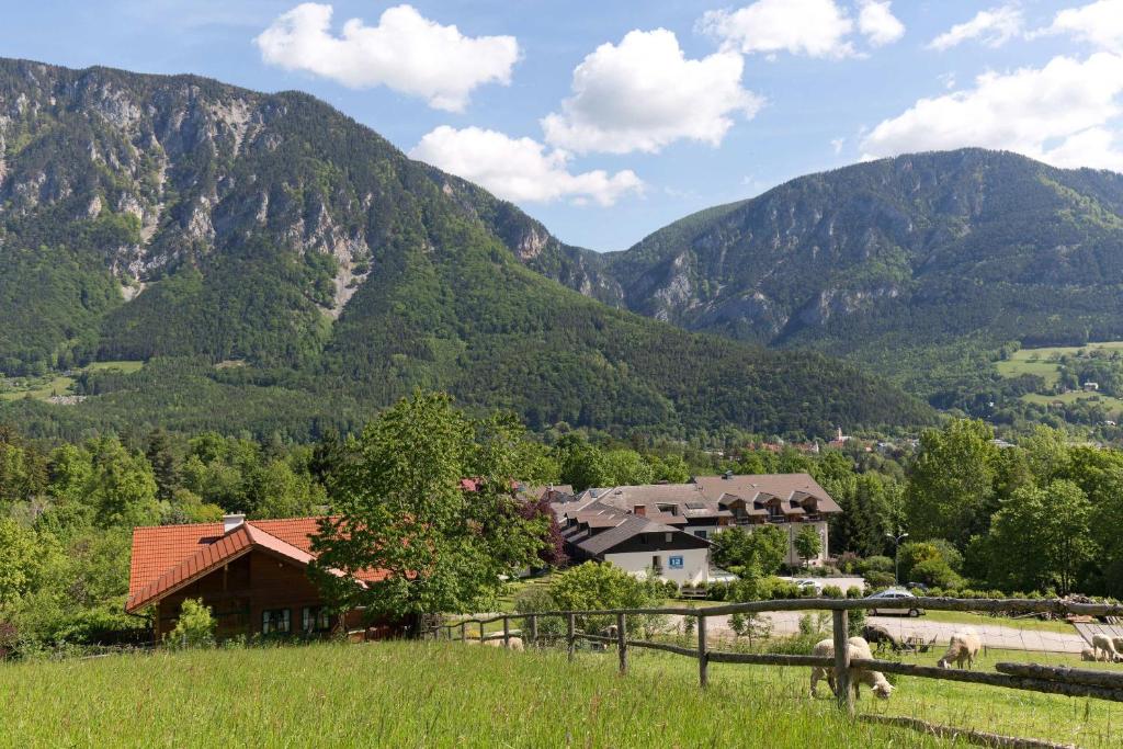 a house in a field with mountains in the background at Flackl - Wirt in Reichenau
