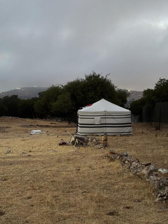 a white tent in a field in a field at Waatad in Irbid