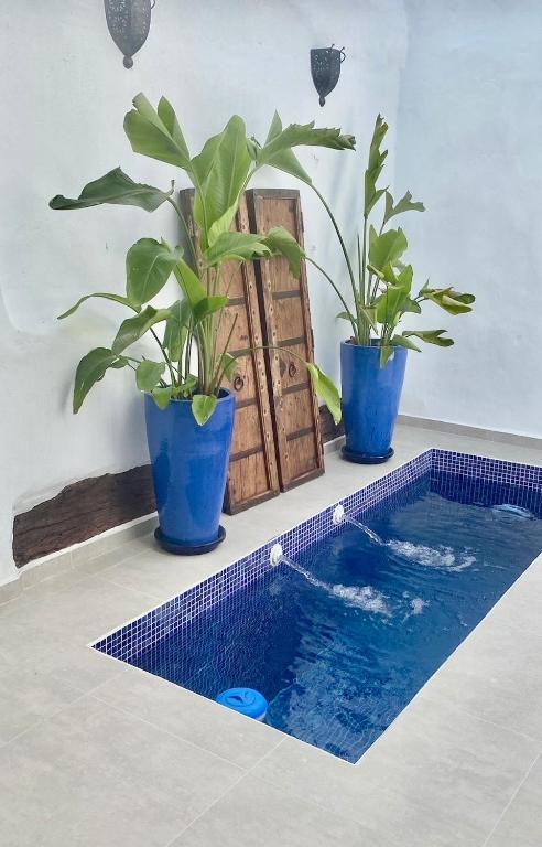 zwei Pflanzen in blauen Töpfen neben einem Schwimmbecken in der Unterkunft Zarcillo in Olvera