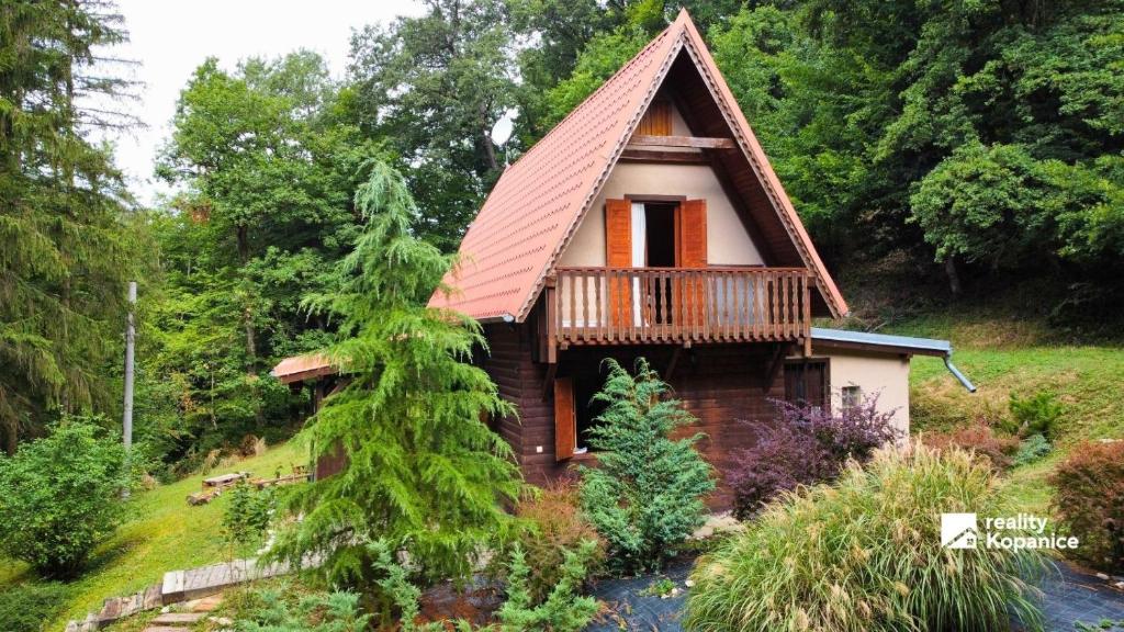 a small house with a thatched roof at Chata uprostred lesa Modrová in Modrová