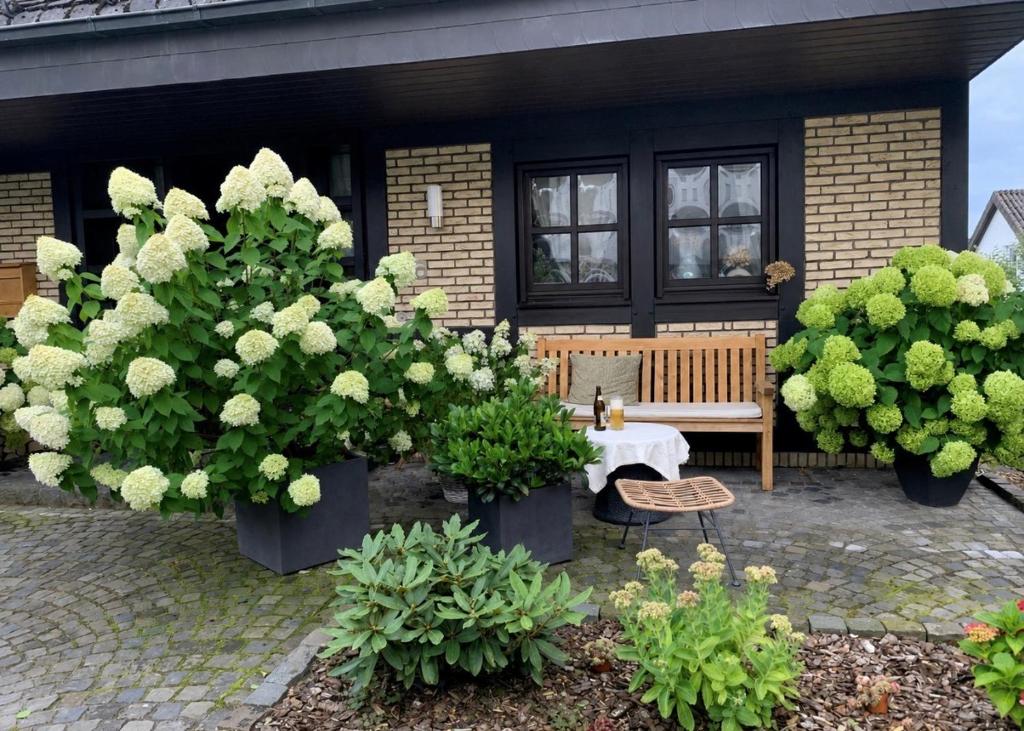a patio with two large potted plants and a table at Stadtvilla Annabelle - mit Sauna in Meschede