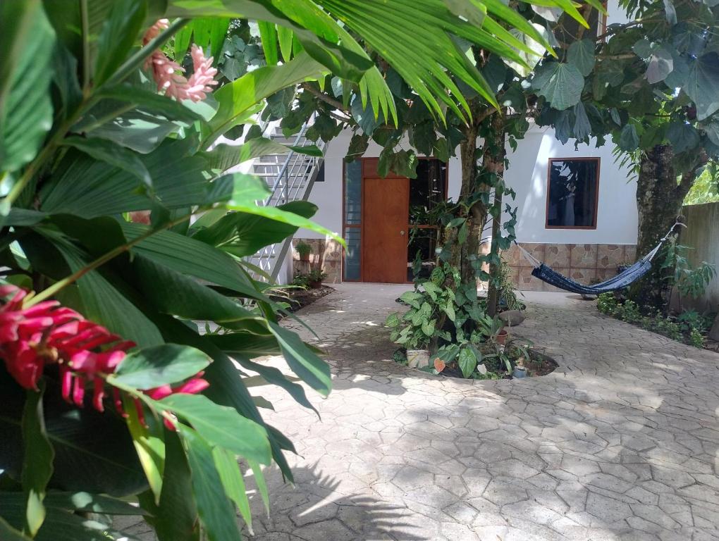 a house with a pathway leading to a yard with plants at BACHÍG Hospedaje in Moyobamba