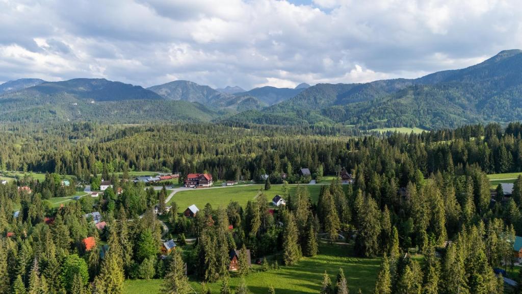 an aerial view of a valley with trees and mountains at Chata Alexia Oravice in Vitanová