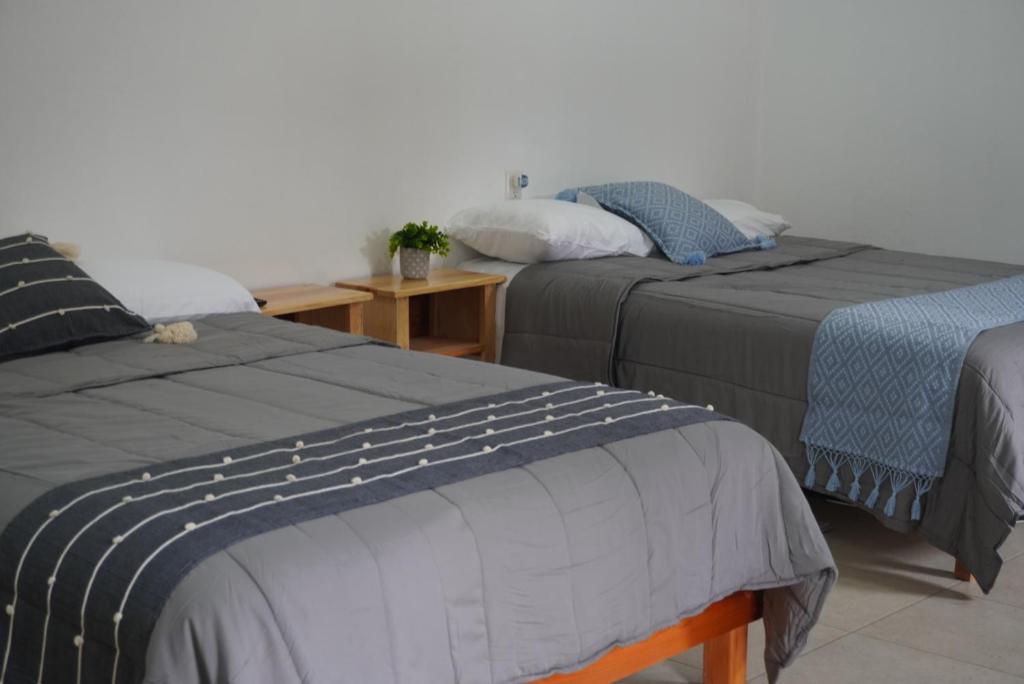 two beds sitting next to each other in a room at Casa del Pueblo in Teotitlán del Valle