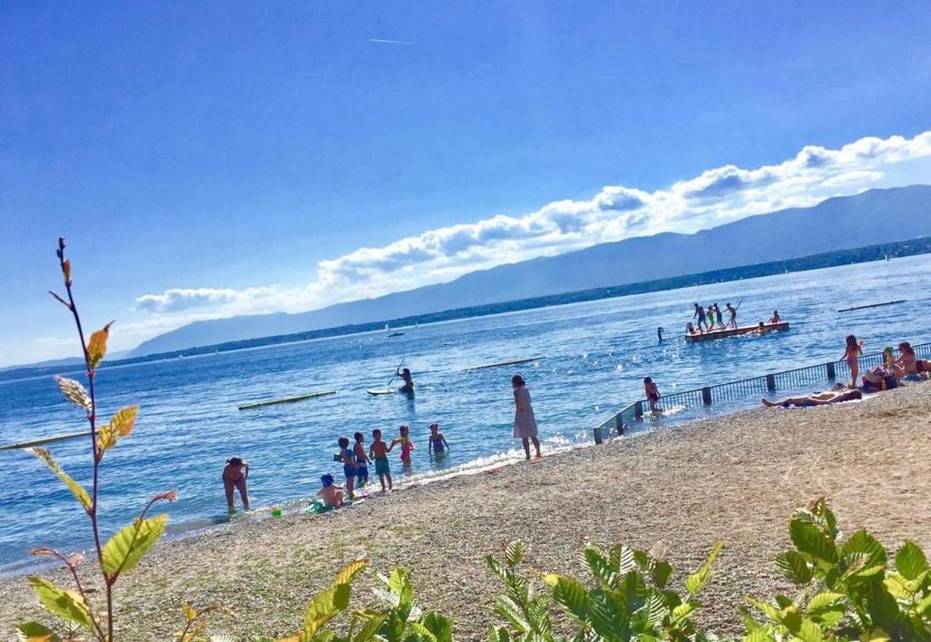 a group of people playing in the water at a beach at Beausoleil SPA Villa L-Geneva, Lake, Mountains-Full Love Stay-SPA optional extra fee in Chens-sur-Léman