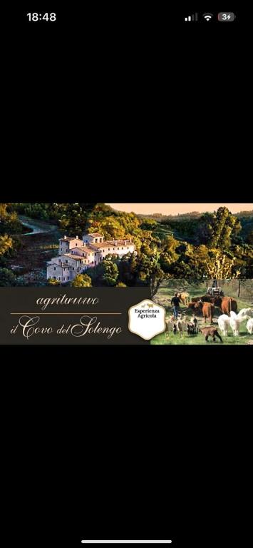 a poster with a picture of a town with buildings at Agriturismo Il Covo del Solengo natura animali a due passi da Assisi in Valtopina