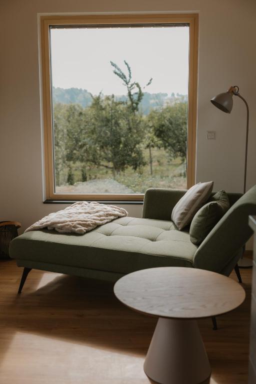 a living room with a couch and a table and a window at Natururlaub by Klotz TINY HAUS d in Überlingen