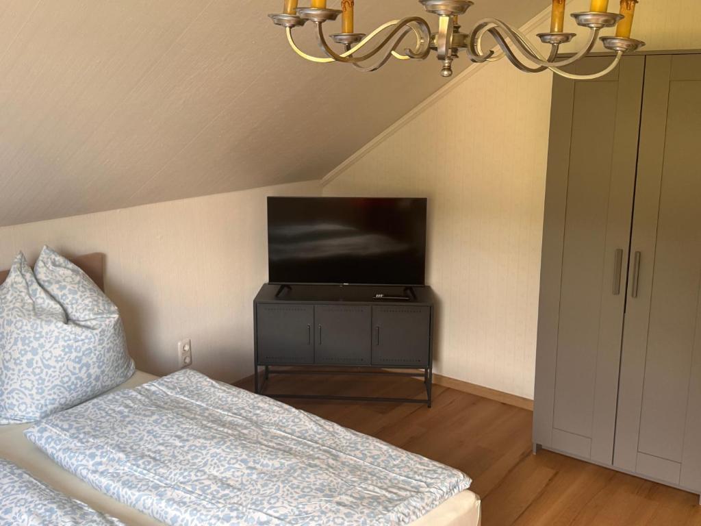 a bedroom with a bed and a television on a table at Ferienwohnung Salzwiese in Brodenbach