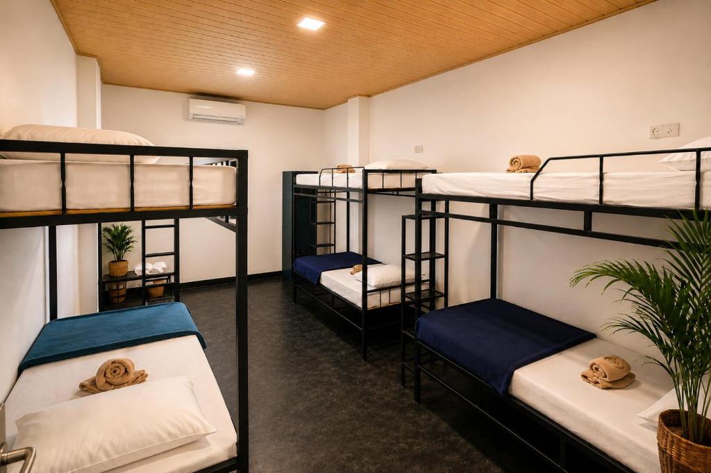 a room with four bunk beds in it at Glowhaven Hostel in Sigiriya
