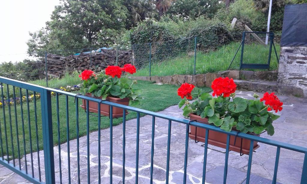 two pots of red flowers on a fence at Vanni's House in Cannobio
