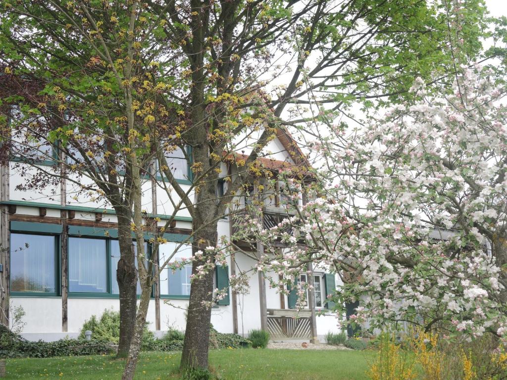 Zahrada ubytování Landhaus Dampf