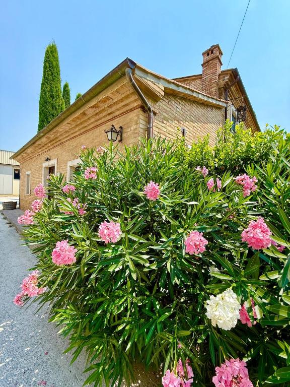 a building with a bunch of flowers in front of it at Casa L Oleandro in Torrenieri